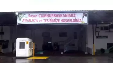 Cumhurbaşkanı'nın 'Zeytin Hasadı' Üreticileri Umutlandırdı