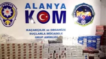 Alanya'da 7 Bin Paket Kaçak Sigara Ele Geçirildi