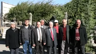 Gecek Termal'de Bin Fidan Toprakla Buluştu