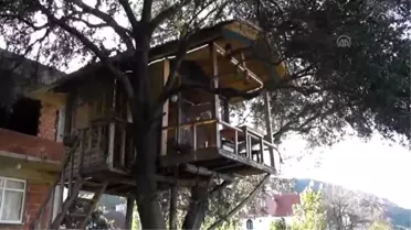 Ordulu Aile 'Ağaç Ev'de Doğanın Tadını Çıkartıyorlar