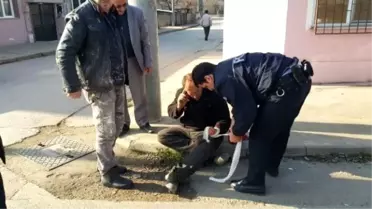 Liseli Öğrencileri Takip Eden Polis Ekibi Kaza Yaptı: 3 Yaralı