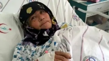 Yaşlı Avcı, Zeytin Toplayan Kadını Kuş Sanıp Vurdu