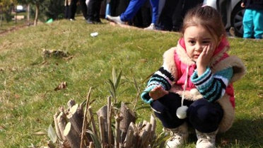 Kahramanmaraş'ta Parktaki Ağaçların Kesilmesine Tepki