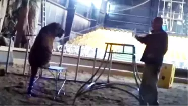 Kaplana Şoke Eden İşkence