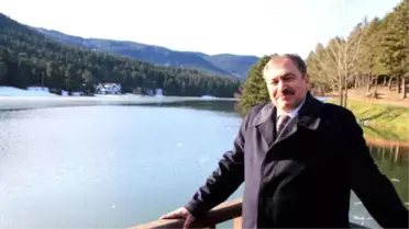 Bakan Eroğlu: Yedigöller'de Piknik Yasak, Gölcük'te Yasaklıyoruz