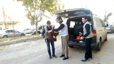 Bir Günde Muhacirlere 6 Ton Domates Dağıtıldı