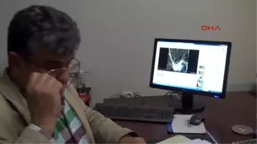Antalya Alara'da Hes'e Karşı Bilirkişi Müjdesi
