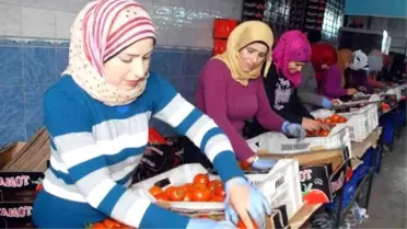 Aydın İhracatı Düşüş Seyrinde