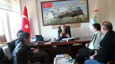Büyükbaş Hayvanlarında Küpelemede Yeni Dönem