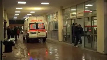 4 İlde Domuz Gribi Şüphesi