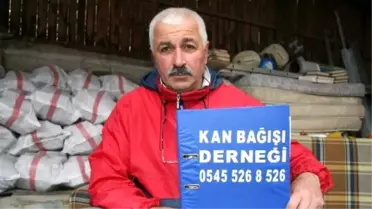 Her Şey Yengesine Kan Aramakla Başladı