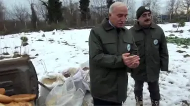 Yabani Hayvanlara Yem Bıraktılar
