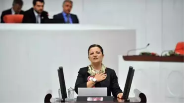 CHP'li Vekil Basmacı'dan Pamukkale'ye Giriş Zammına Tepki