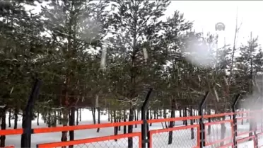 Doğu Anadolu'da Kış