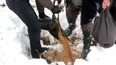 Silvan'da Yaban Hayvanları İçin Doğaya Yem Bırakıldı