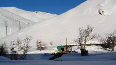 Kar Onlar İçin Çile Oldu