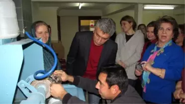 Sandıklı Kaymakamı Arıcan, Cam Kursu'nu Ziyaret Etti