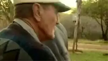 Güney Afrika'da Evde Hipopotam Beslemek