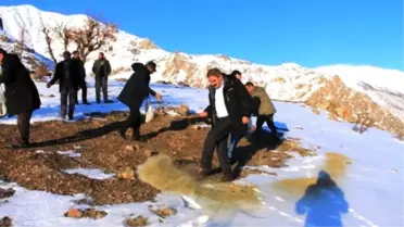 Çatak'ta Yaban Hayvanlarına Yem Bırakıldı