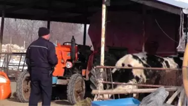 Yem Karma Makinasına Düşen Çiftçi,yaralandı