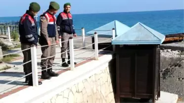 Sahilde Bulunan Yaralı Şahin Korumaya Alındı