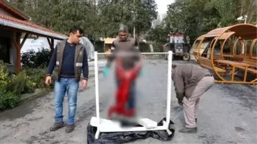 İstanbul'un Karaca Katillerine İdari Para Cezası Verildi