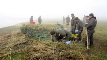Kırklareli'nde Güme ve Kaçak Av Operasyonu