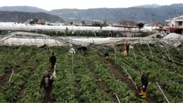 Demre'deki Hortumun Zararı 11 Milyon Lira