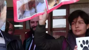 Üniversitede Köpeklerin Zehirlenmesi Davası Başladı