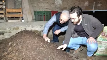 Solucan Gübresi Üretmeyi Akademik Kariyere Tercih Etti
