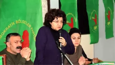 Emine Ayna'ya Soruldu: Siyaseti Bıraktınız, Dağa mı Çıkacaksınız