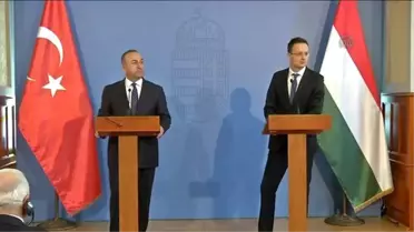 Mevlüt Çavuşoğlu: 'Yarın O Yılan Gelir Sizi de Sokar'