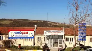 Omüsem Kurslarından 405 Kişi Sertifika Aldı