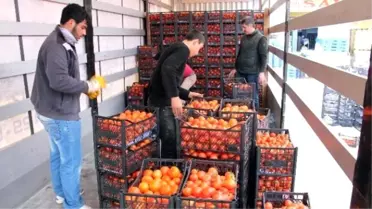 Kumluca'dan Bayırsucak Türkmenlerine Gıda Yardımı