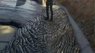 Araçlar Yola Dökülen Bitüme Saplandı