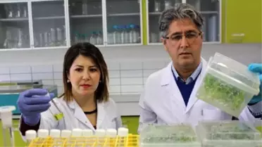 İnsan ve Doğaya Zarar Vermeyen Tarım İlacı Yapılıyor
