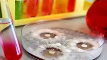 Niğde Üniversitesi İnsana ve Doğaya Zarar Vermeyen Tarım İlacı Üretti