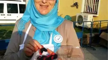 Kadın Cinayetine 5 Yıl 8 Ay Hapis Cezası