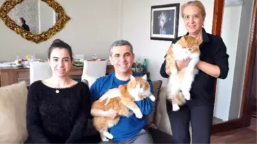 CHP'li Başkanın Vazgeçilmezleri: Ailesi, Partisi ve Kedileri