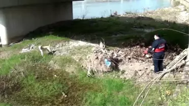 Çayda Mahsur Kalan Köpek Zorlukla Kurtarıldı