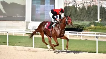 Tsyd İzmir Koşusu'nu 'İlkaan' Kazandı