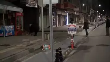 Bartın'da 18 Sokak Köpeği Telef Oldu