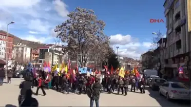 Tunceli'de Kadınlar Günü Kutlaması