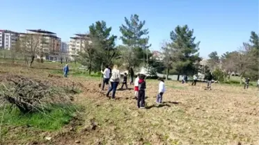 Ted'li Öğrenciler Fidan Dikti