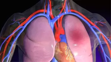 Pulmoner Rehabilitasyon Haftası