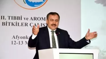 Orman ve Su İşleri Bakanı Prof. Dr. Veysel Eroğlu Afyonkarahisar'da