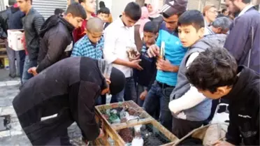 Şanlıurfa'da 'Kuş Borsası'