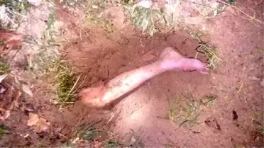 Mezarlıkta Kesik Bacak Paniği! Polis İhbar Üzerine Geldi, Şok Oldu