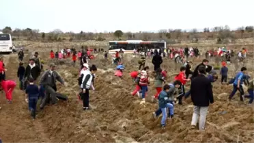Eskişehir'de 21 Okul, 21 Bin Fidanı Toprakla Buluşturdu
