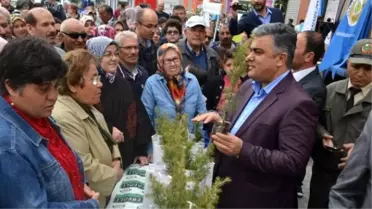 Ereğli'de 3 Bin Fidan Dağıtıldı